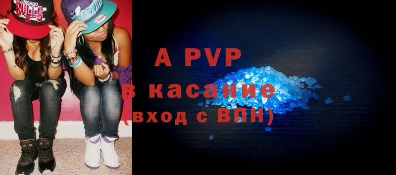 A-PVP СК Камень-на-Оби